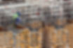 Constructora-1.jpg
